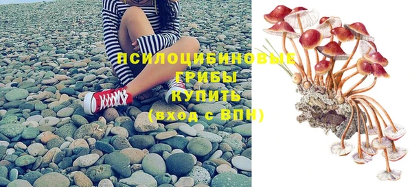 дживик Бугульма