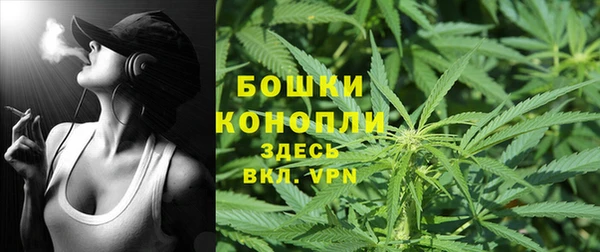 дурь Богородицк