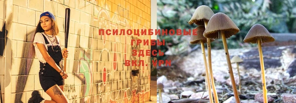 a pvp Богородск