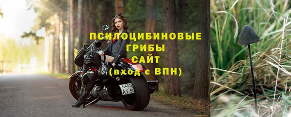 марки lsd Бородино
