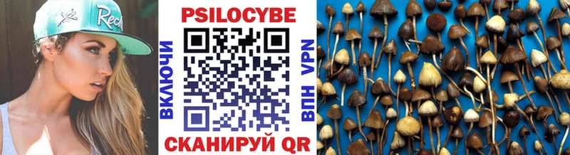 цена наркотик  Железноводск  дарк нет как зайти  Псилоцибиновые грибы мицелий 